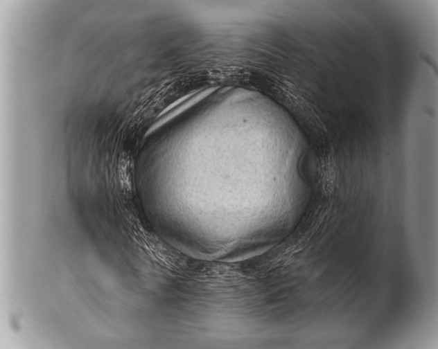 X0000100360770200806201604