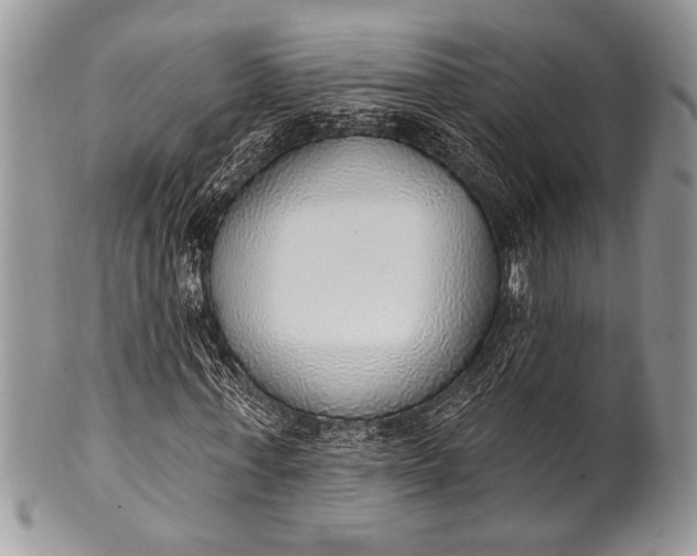 X0000100360771200806201604