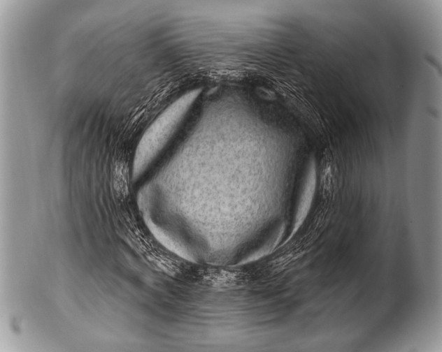 X0000100360772200806201604