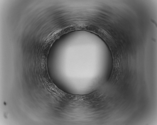 X0000100360773200806201604