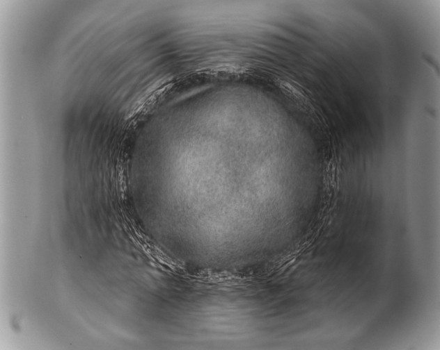 X0000100360774200806201604