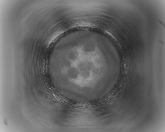 X0000100360775200806201604