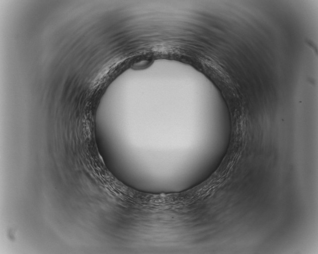 X0000100360776200806201604