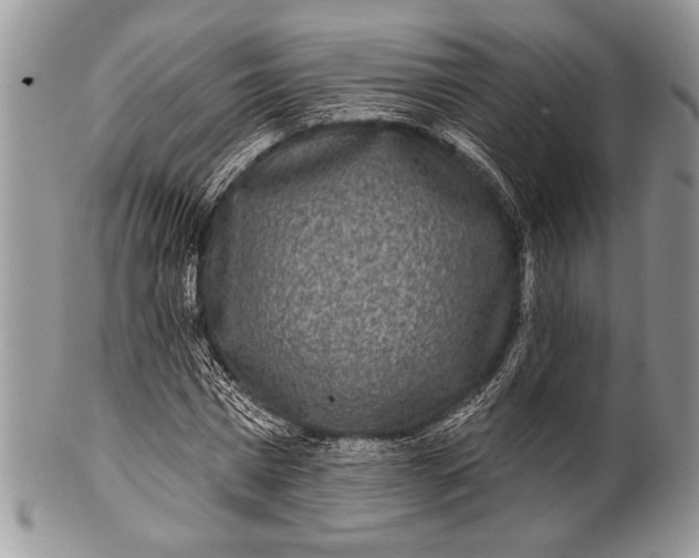 X0000100360777200806201604