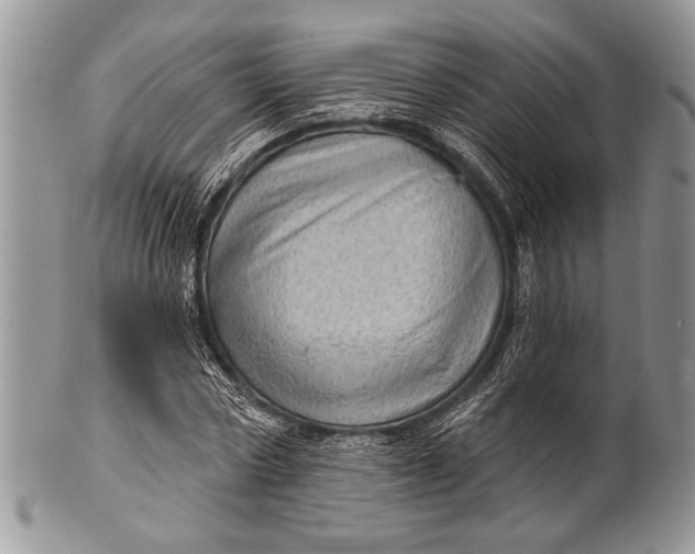 X0000100360778200806201604