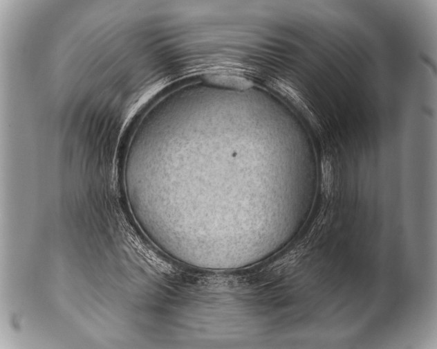 X0000100360780200806201604