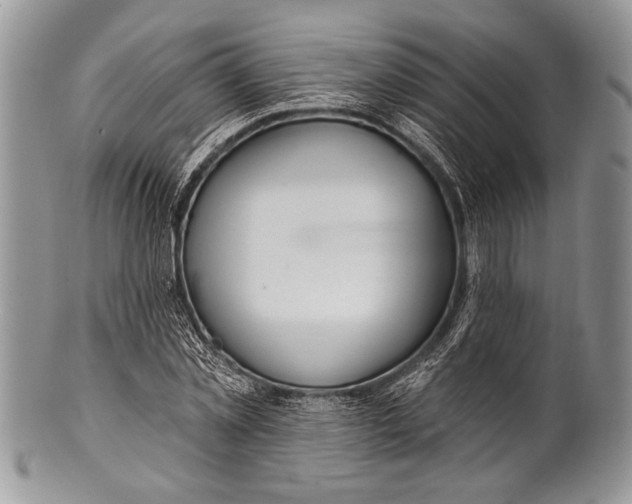 X0000100360781200806201603