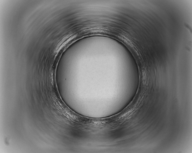 X0000100360782200806201603