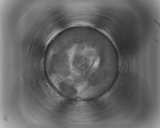 X0000100360783200806201603