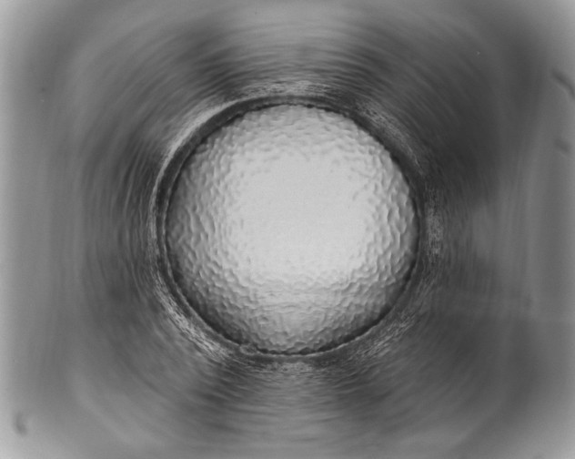 X0000100360784200806201603