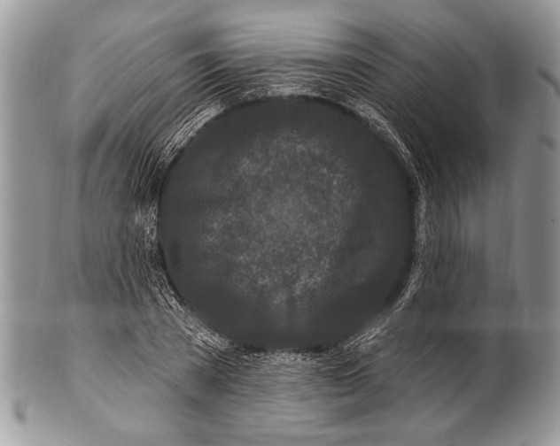 X0000100360785200806201603