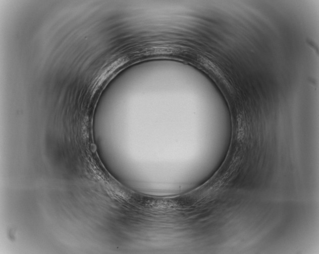 X0000100360786200806201603