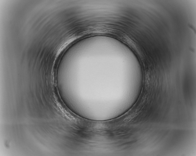 X0000100360787200806201603