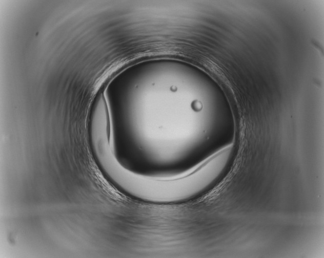 X0000100360789200806201603