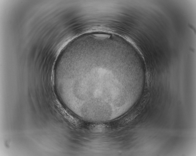 X0000100360791200806201603