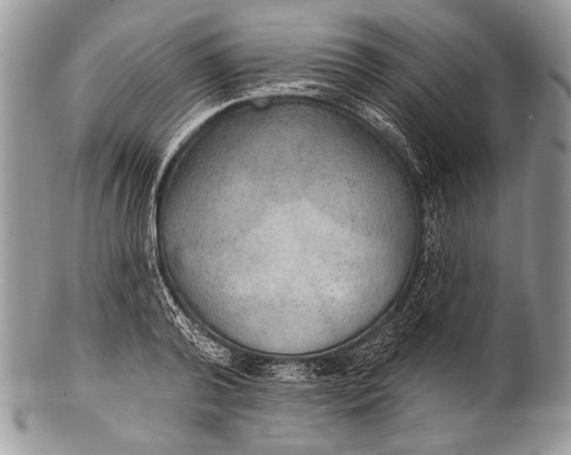 X0000100360792200806201603