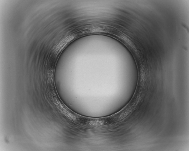 X0000100360793200806201603