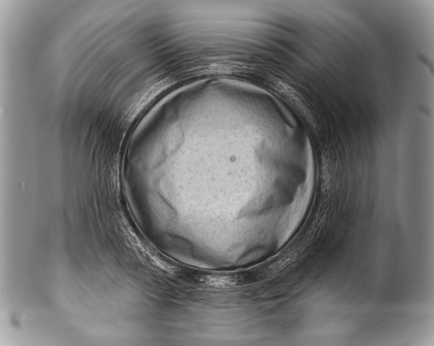 X0000100360794200806201603