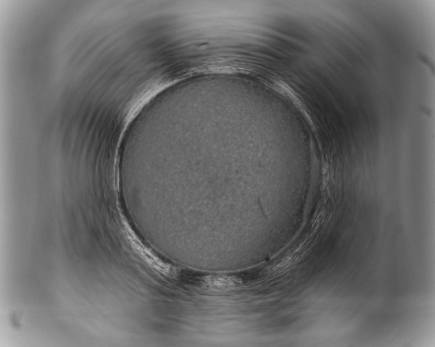 X0000100360795200806201603