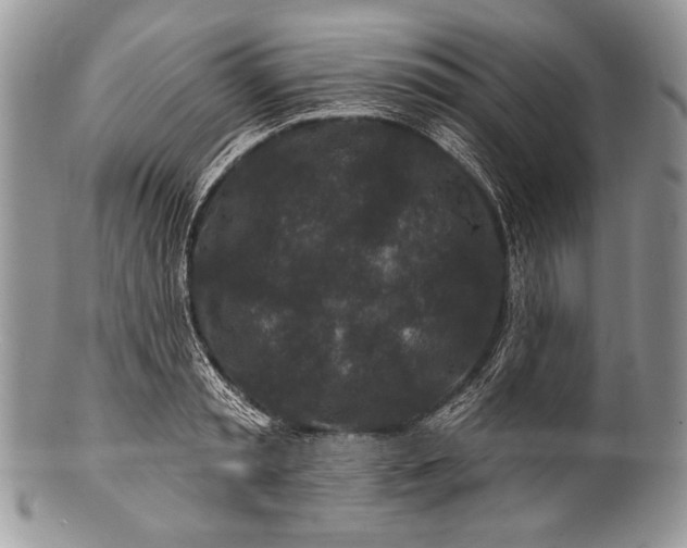 X0000100360797200806201603