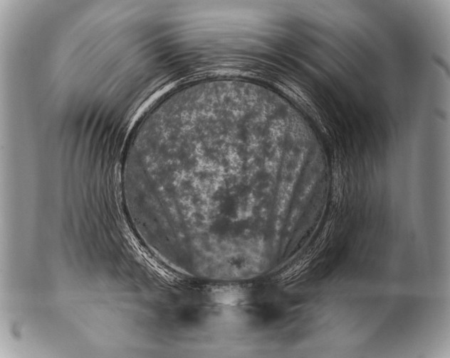 X0000100360798200806201603