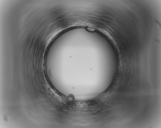 X0000100360799200806201603