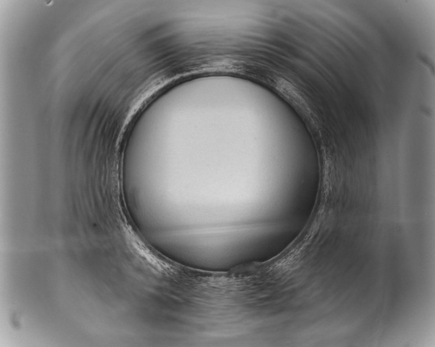 X0000100360800200806201603