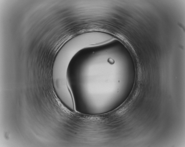 X0000100360801200806201603