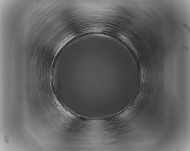 X0000100360802200806201603