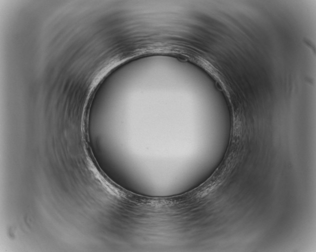 X0000100360803200806201603