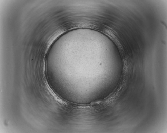 X0000100360804200806201603