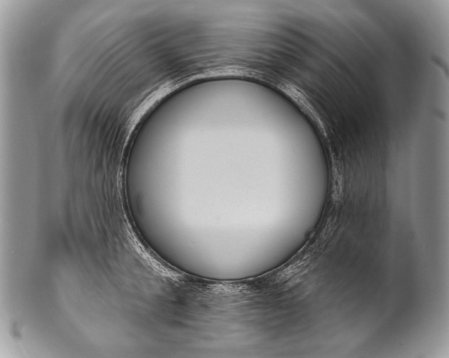 X0000100360805200806201603