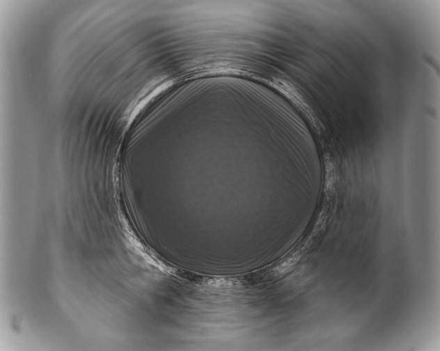 X0000100360806200806201603