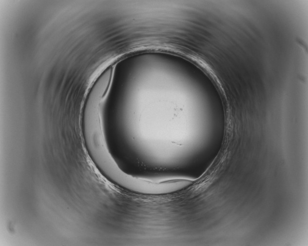 X0000100360807200806201603