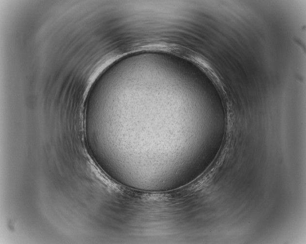 X0000100360808200806201603