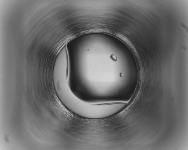 X0000100360809200806201603