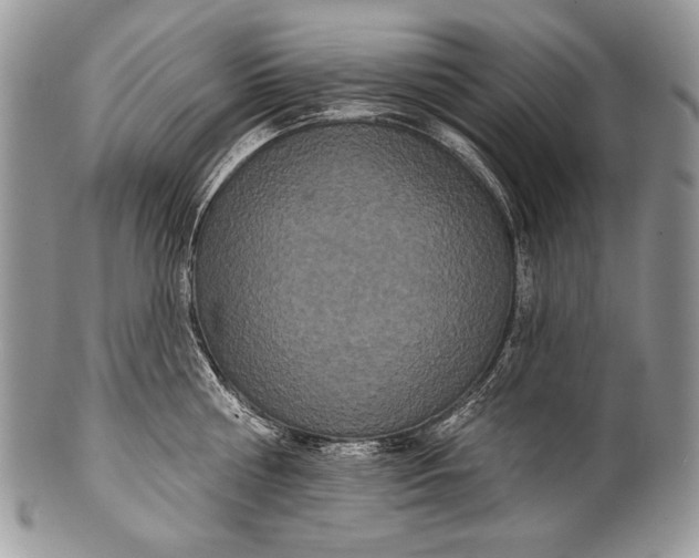 X0000100360810200806201603