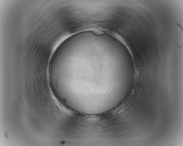 X0000100360811200806201603