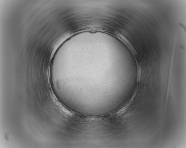 X0000100360812200806201603