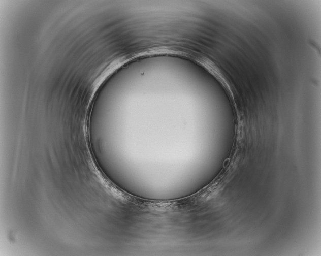 X0000100360813200806201603