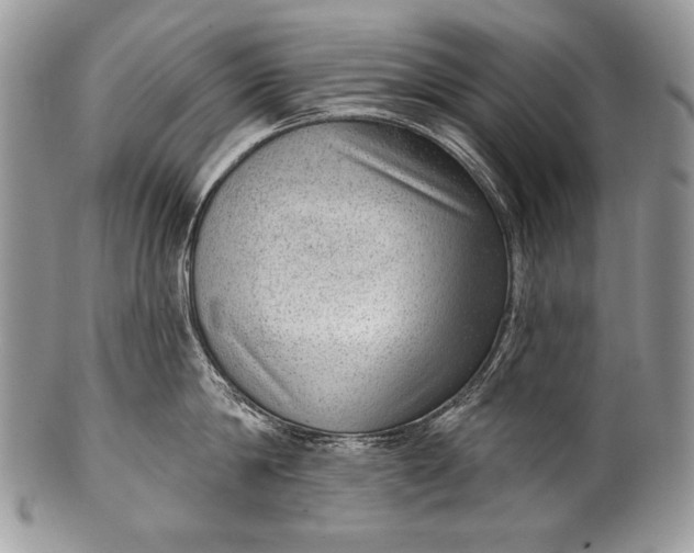 X0000100360814200806201603