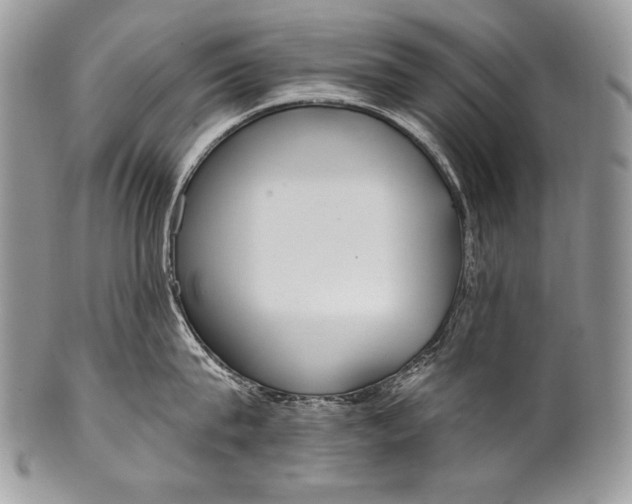 X0000100360815200806201603