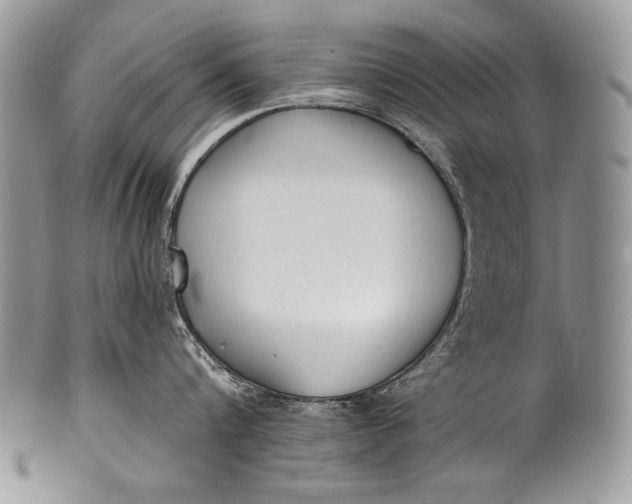 X0000100360816200806201603