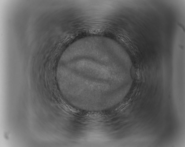 X0000100360817200806201602