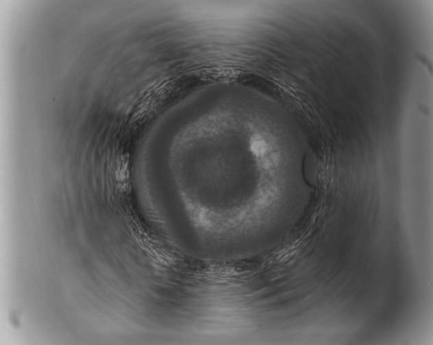 X0000100360818200806201602