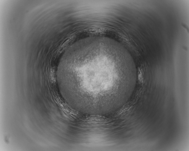 X0000100360819200806201602