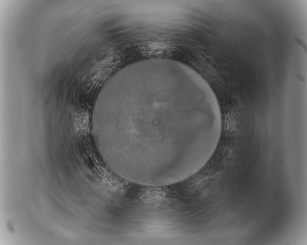 X0000100360820200806201602