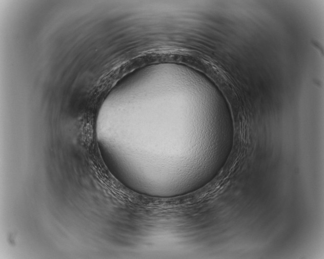 X0000100360821200806201602