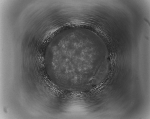 X0000100360822200806201602