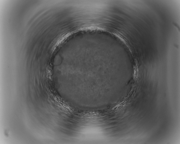 X0000100360823200806201602